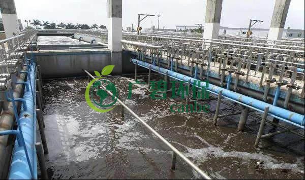 污水氨氮超標怎么解決？氨氮超標原因與解決方法(圖1)